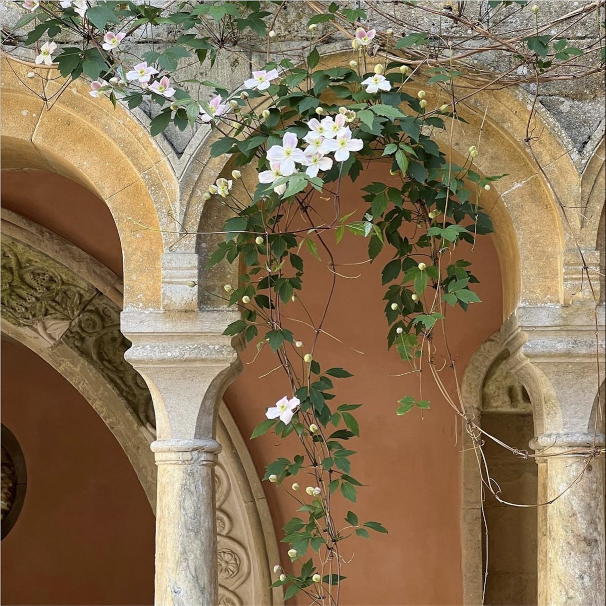 Damascus, the City of Jasmine